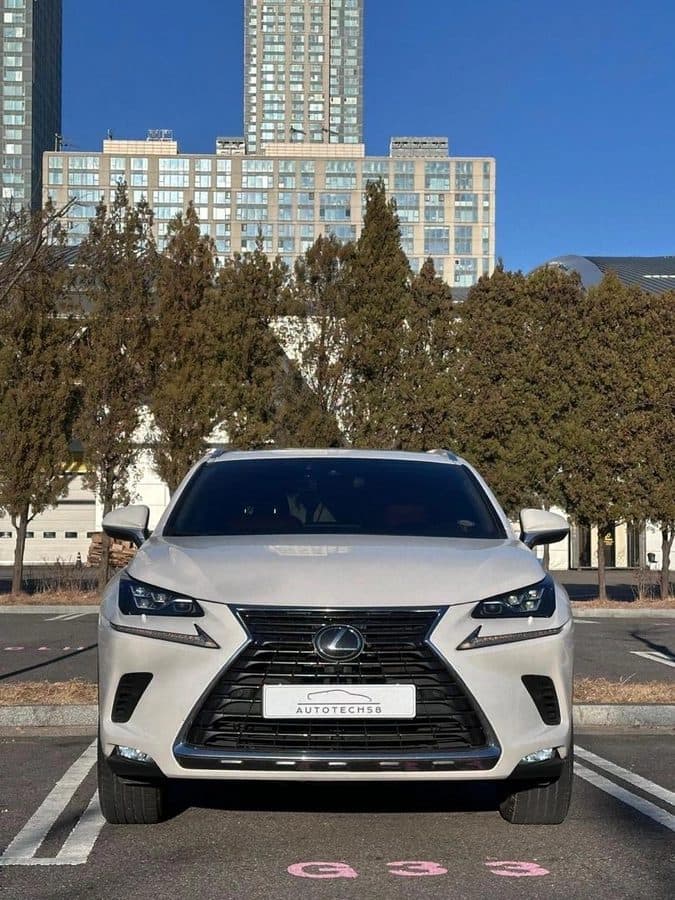 Lexus NX 2020, Бишкек