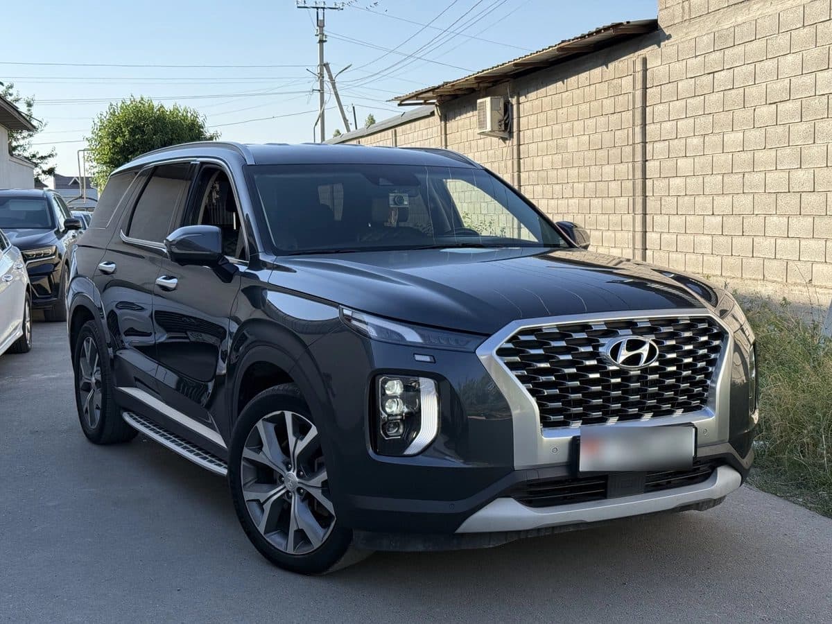 Hyundai Palisade 2020, Ош