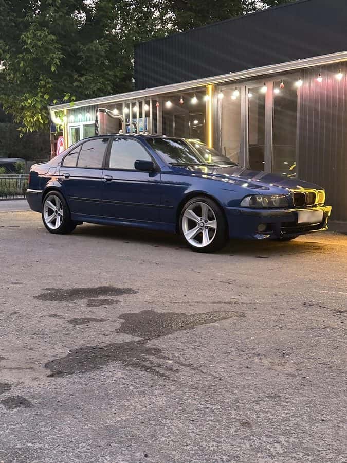 BMW 5 Series 2001, Сулюкта