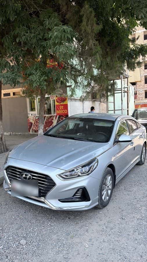 Hyundai Sonata 2018, Ош