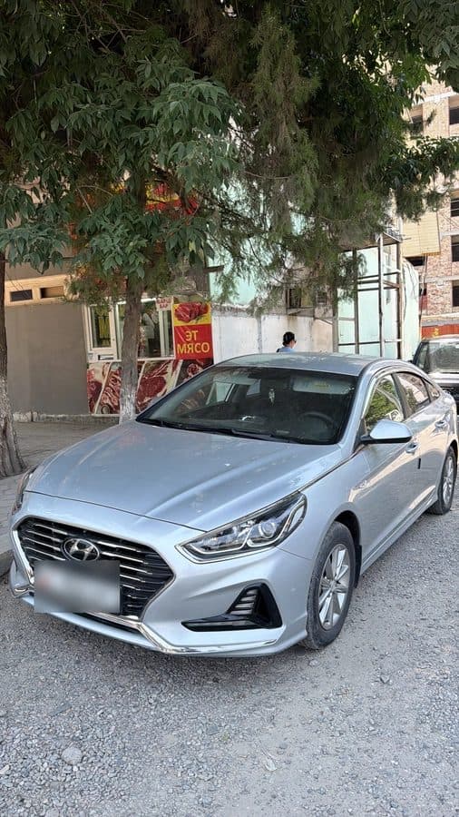 Hyundai Sonata 2018, Ош