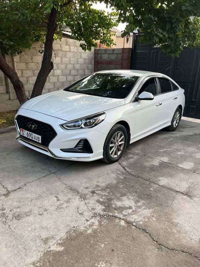 Hyundai Sonata 2019, Ош