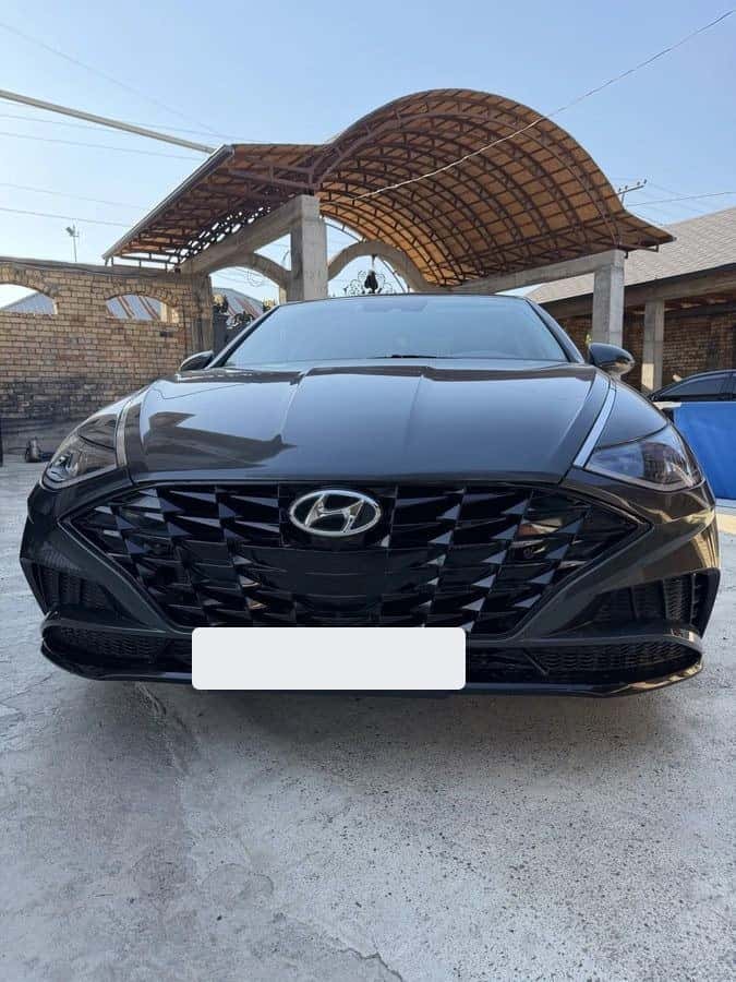 Hyundai Sonata 2020, Ош