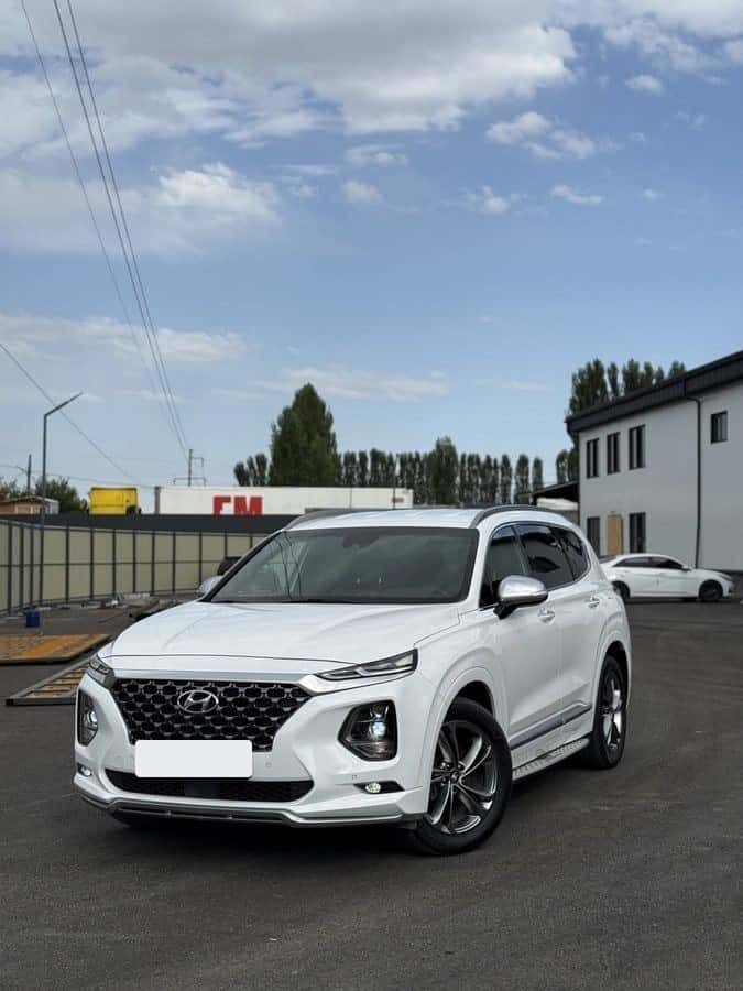 Hyundai Santa Fe 2019, Сузак