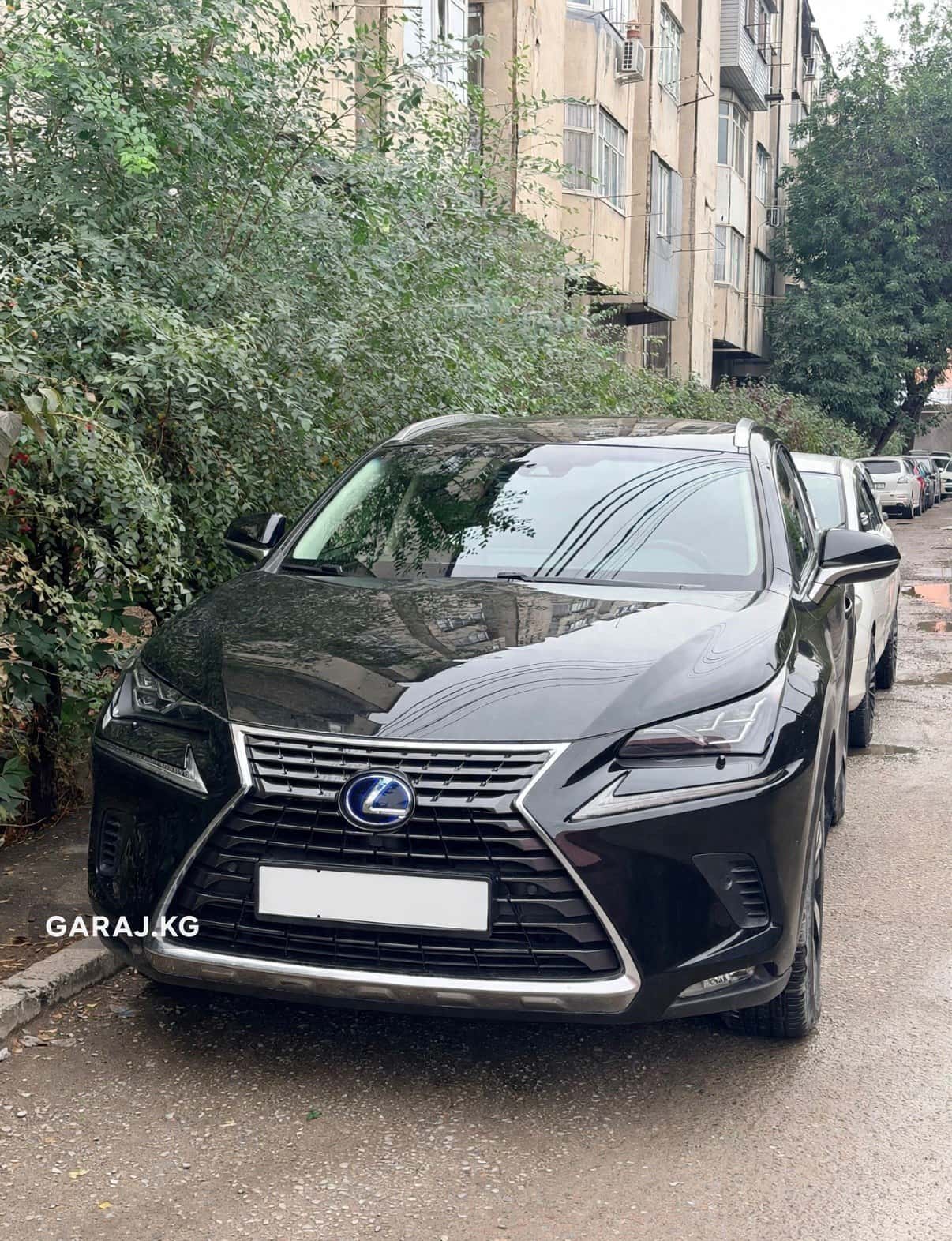 Lexus NX 2019, Бишкек
