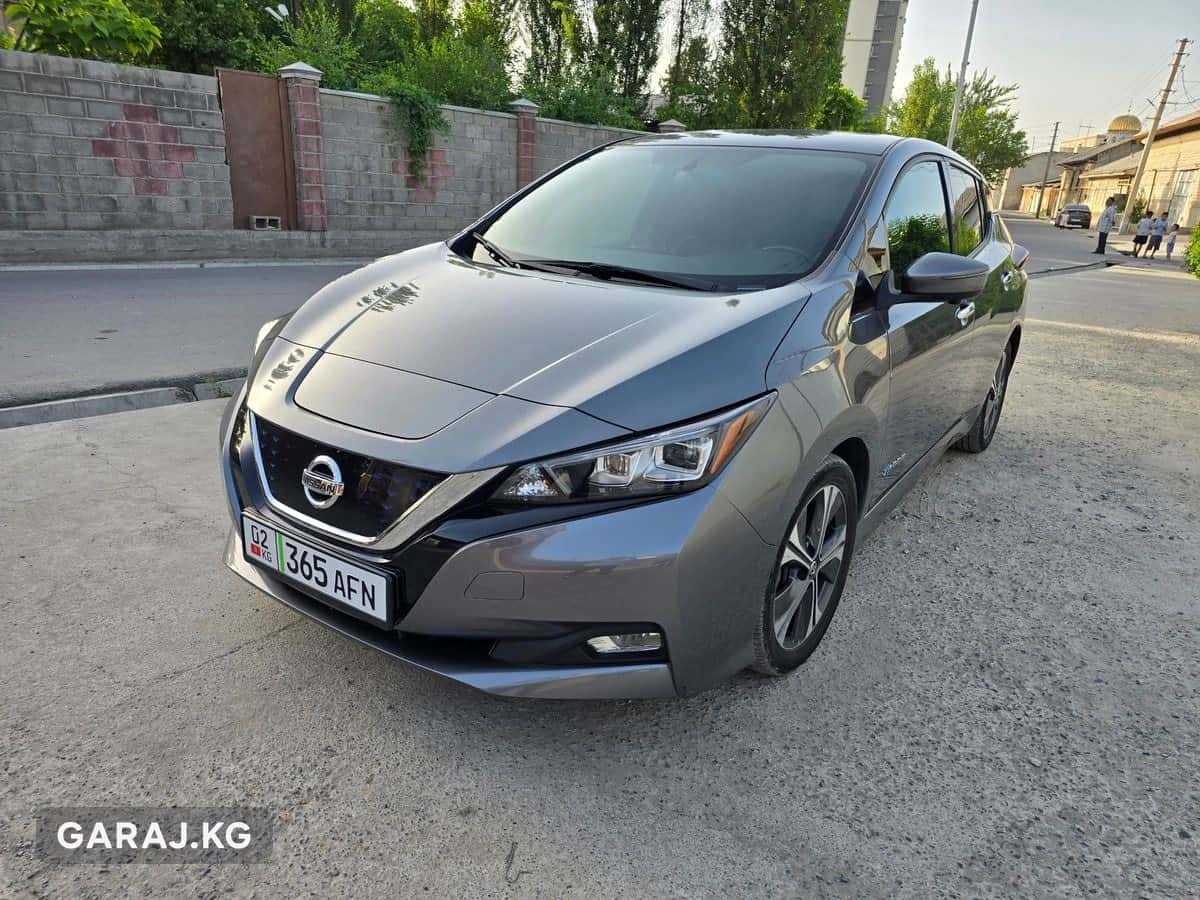 Nissan Leaf 2019, Ош