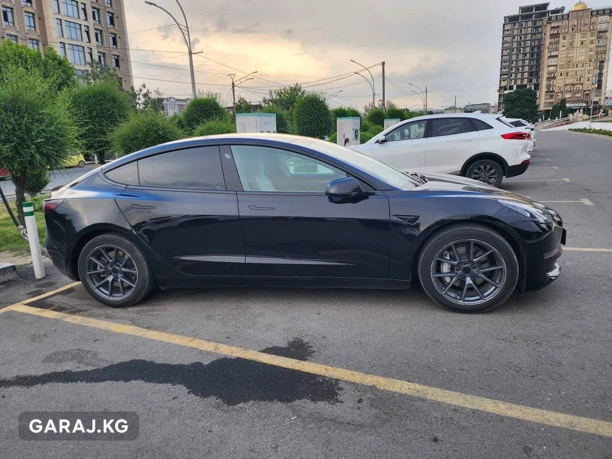 Tesla Model 3 2022, Ош