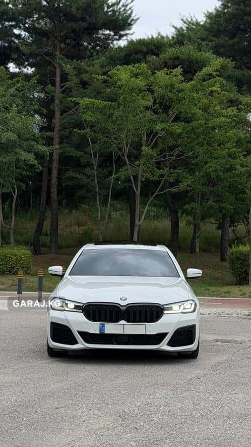 BMW 5 Series 2020, Ош