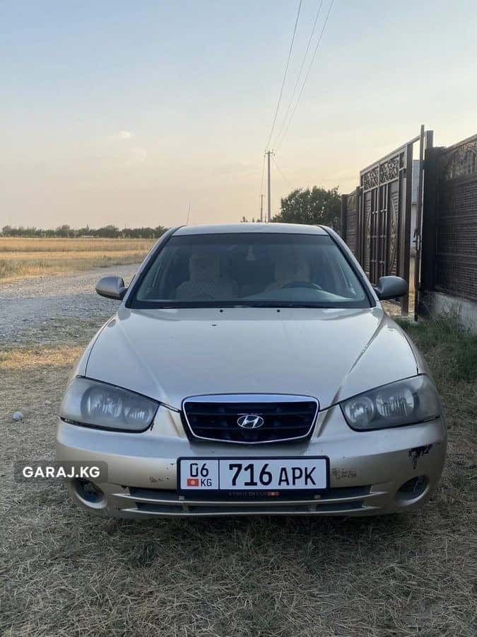 Hyundai Elantra 2001, Ош