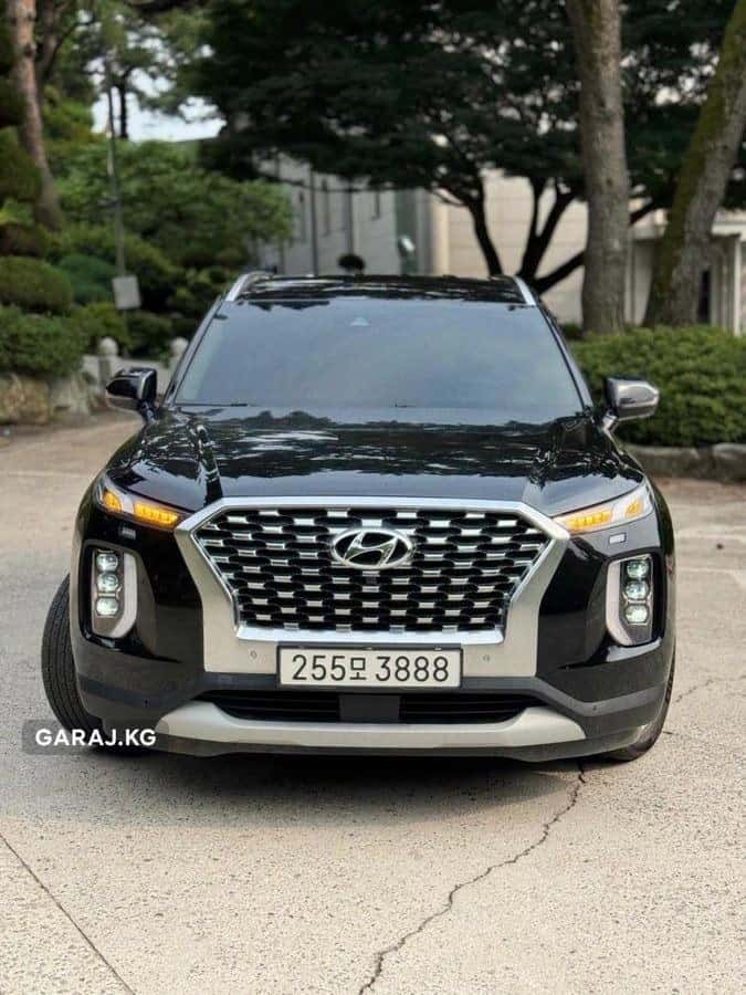 Hyundai Palisade 2020, Сокулук