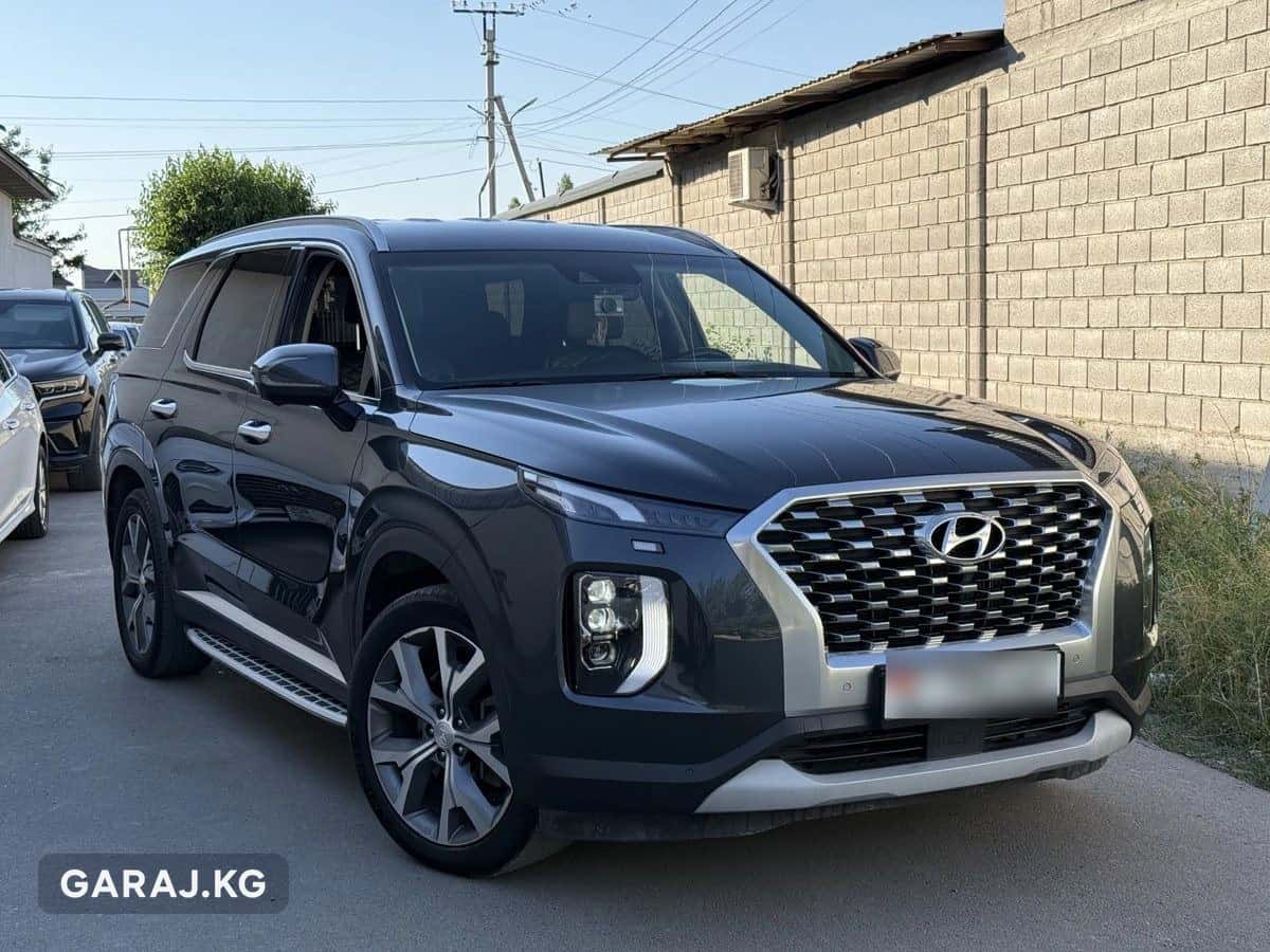 Hyundai Palisade 2020, Ош