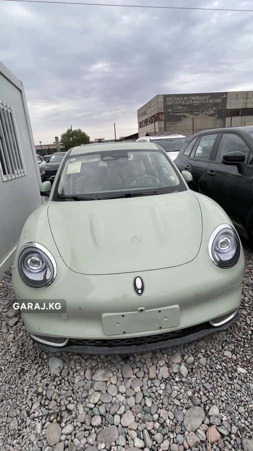 Ora Good Cat 2024, Бишкек