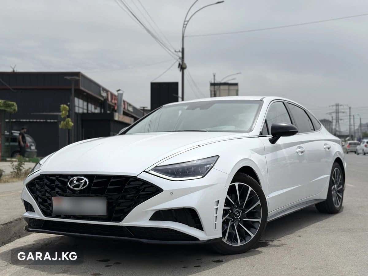 Hyundai Sonata 2020, Ош