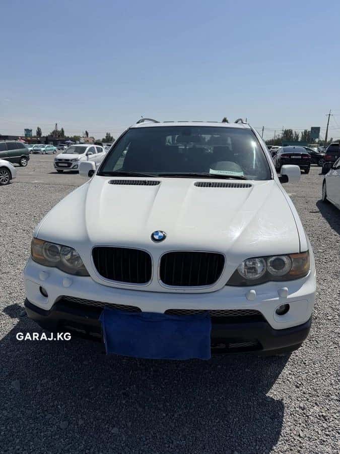 BMW X5 2004, с.Военно-Антоновка