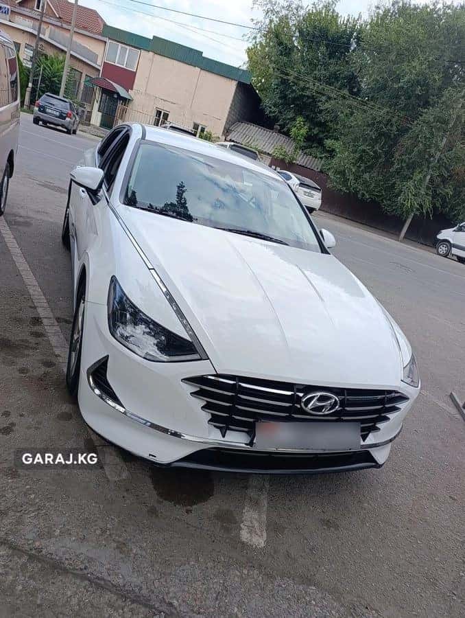 Hyundai Sonata 2019, Кербен