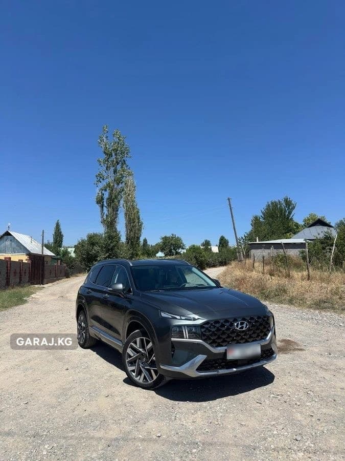 Hyundai Santa Fe 2021, Маасы