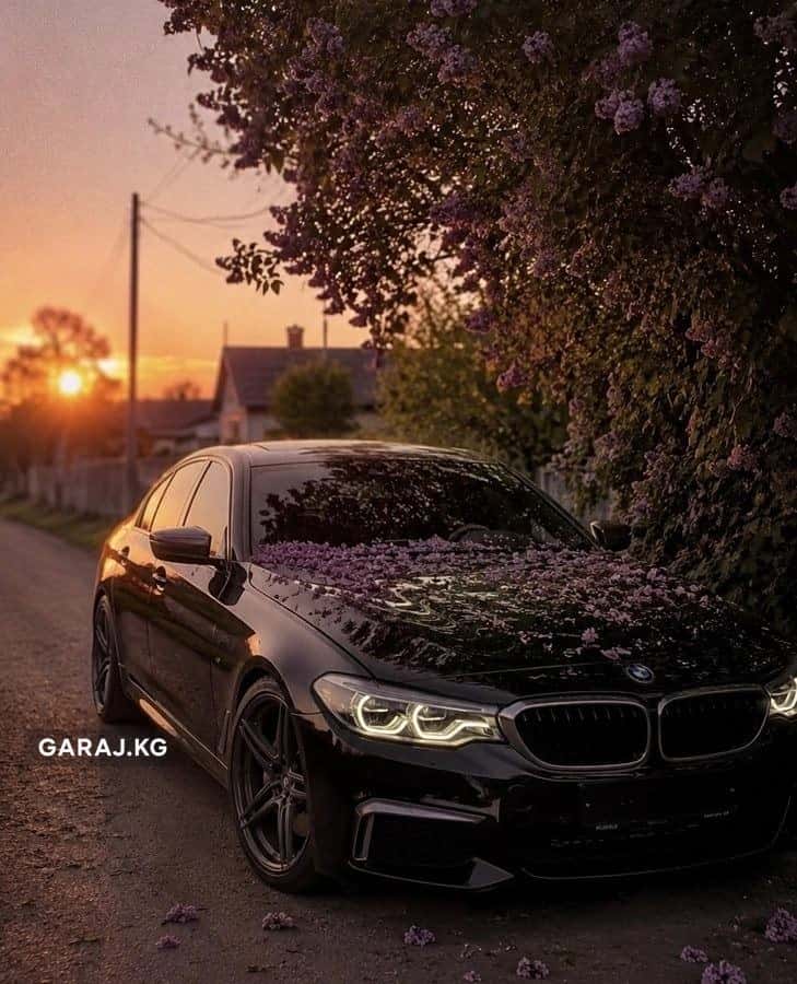 BMW 5 Series 2019, Бишкек
