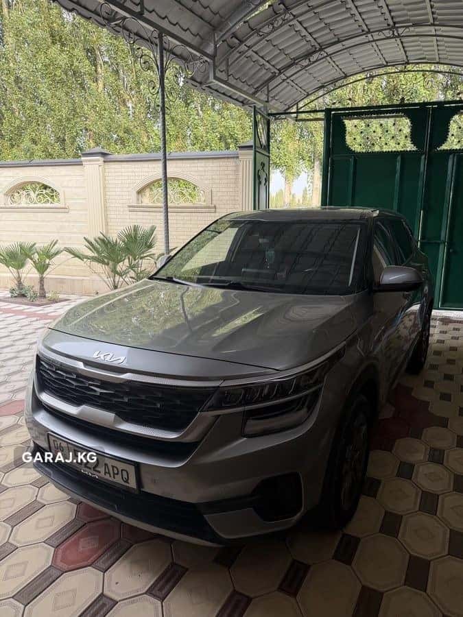 Kia Seltos 2019, Ош