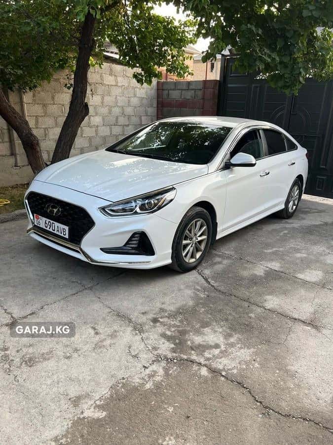Hyundai Sonata 2019, Ош