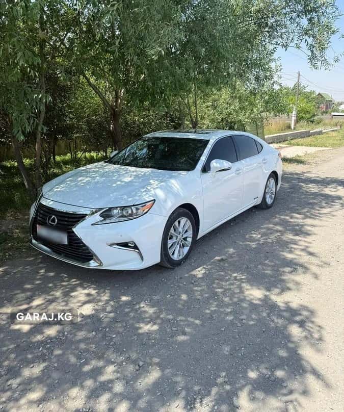 Lexus ES 2014, Ош