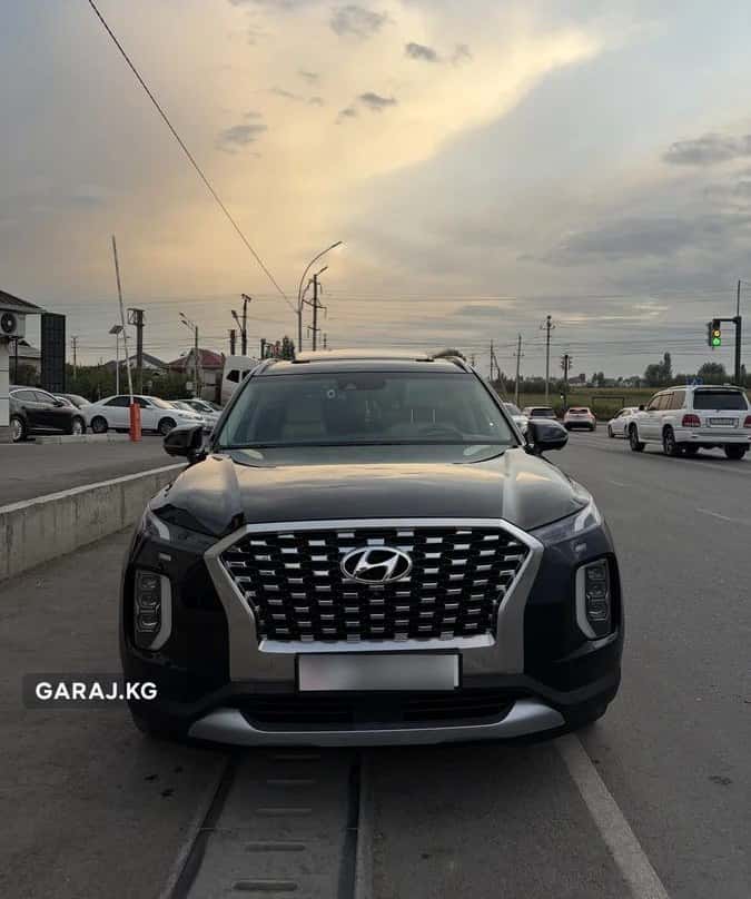 Hyundai Palisade 2019, Ош