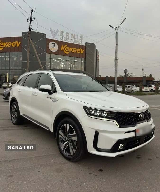 Kia Sorento 2020, Ош