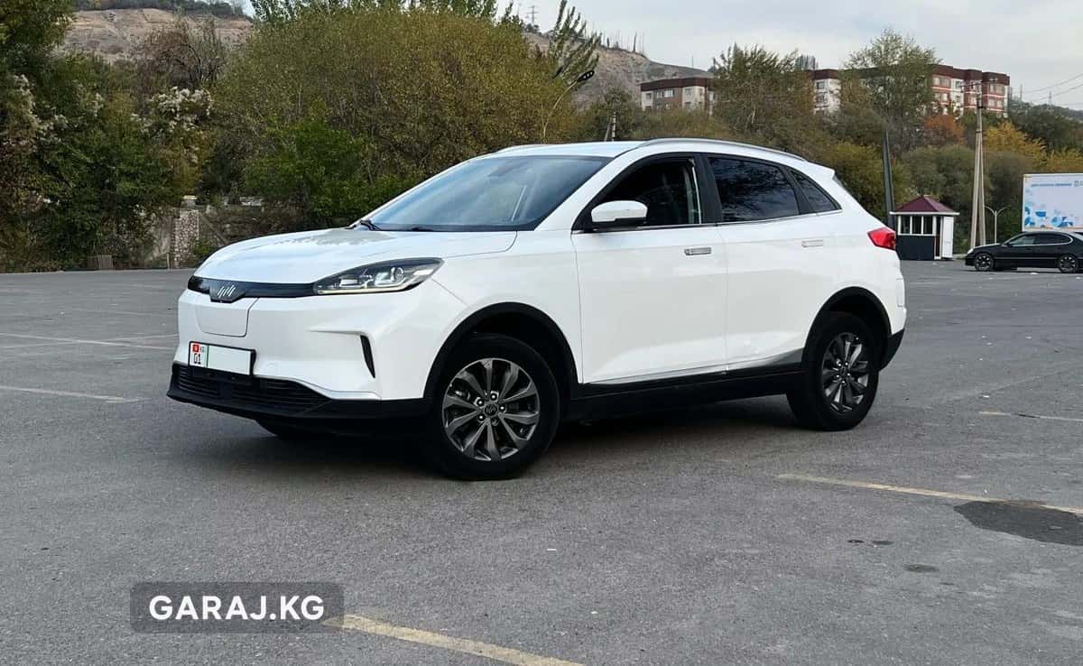 Weltmeister EX5 2020, Ош