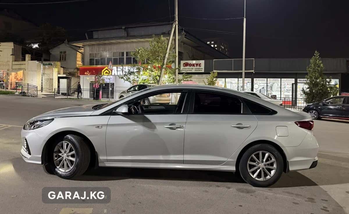 Hyundai Sonata 2019, Ош