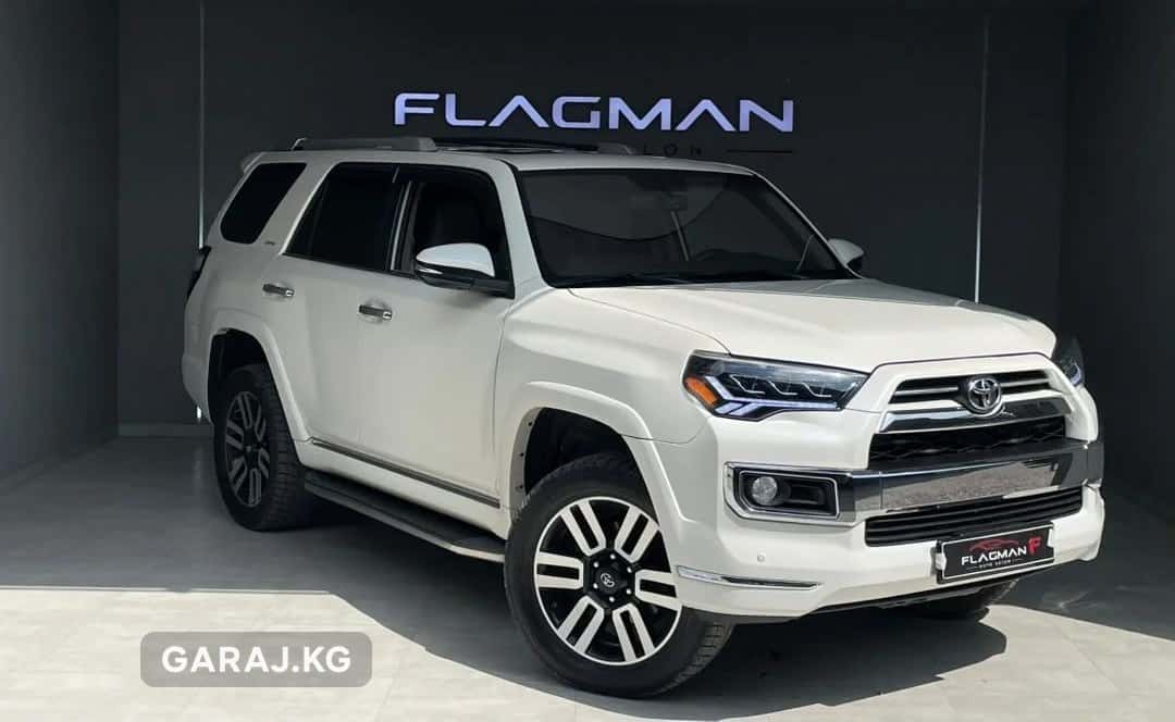 Toyota 4Runner 2018, Лебединовка