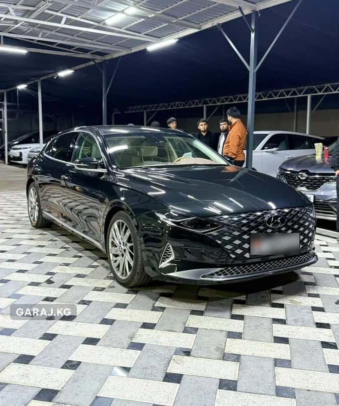 Hyundai Grandeur 2020, Ош