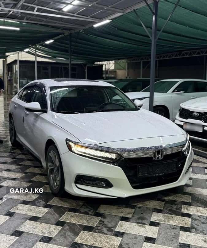 Honda Accord 2019, Ош