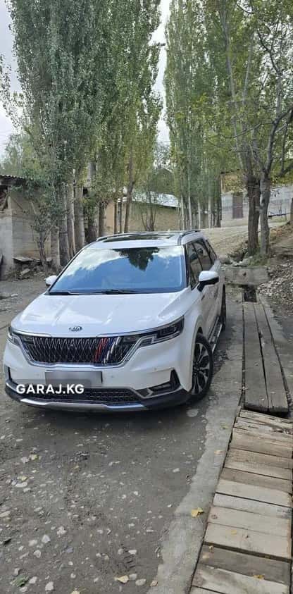 Kia Carnival 2020, Ноокат