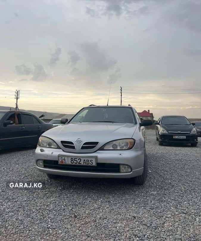 Nissan Primera 2001, Маасы