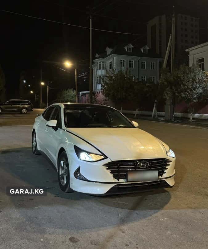 Hyundai Sonata 2019, Ош