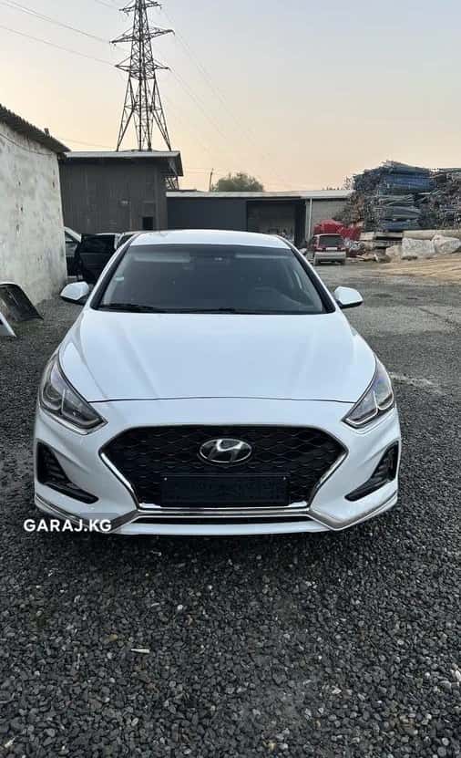 Hyundai Sonata 2020, Ош