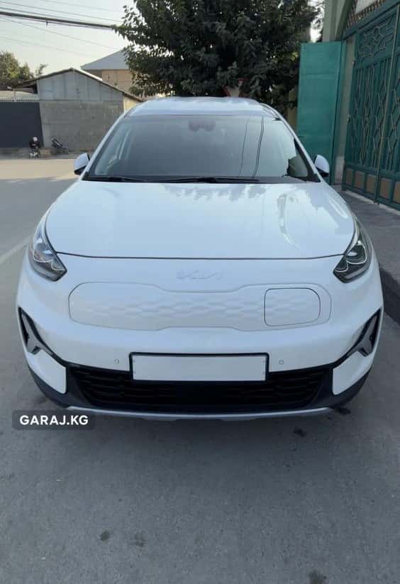 Kia Niro 2022, Ош