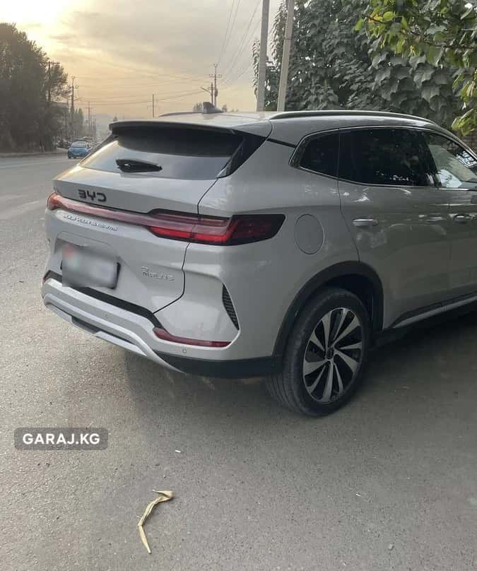 BYD Song Plus 2024, Ош