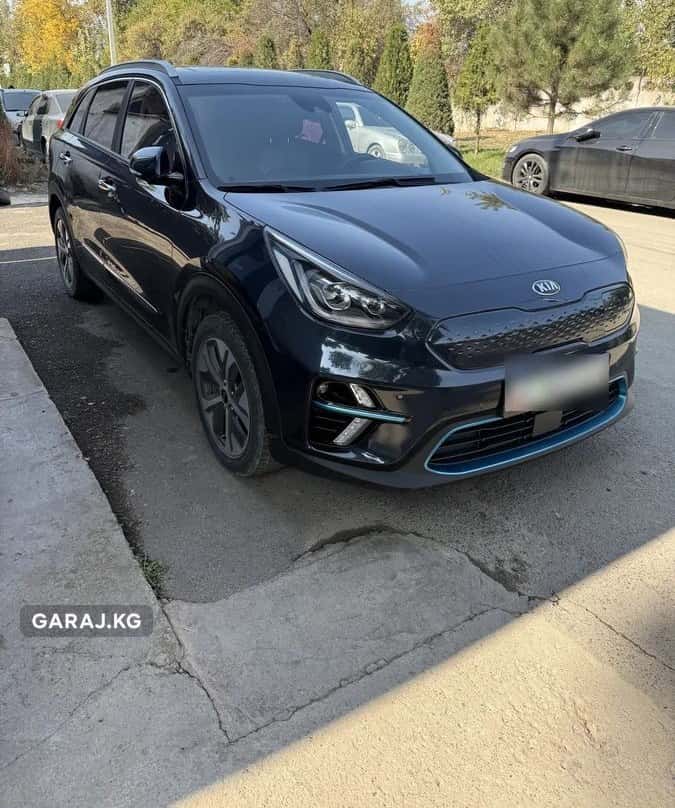 Kia Niro 2019, Ош