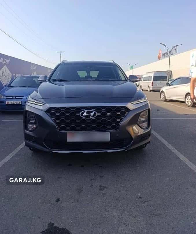 Hyundai Santa Fe 2019, Ош