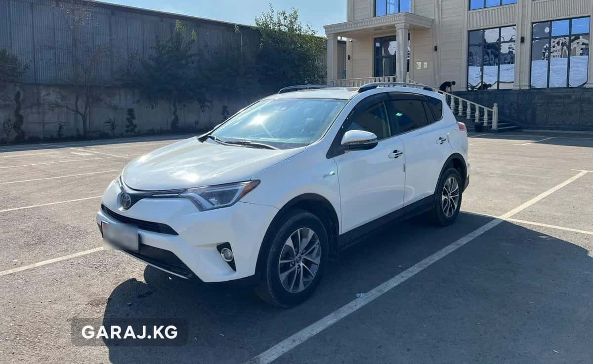 Toyota RAV4 2018, Ош
