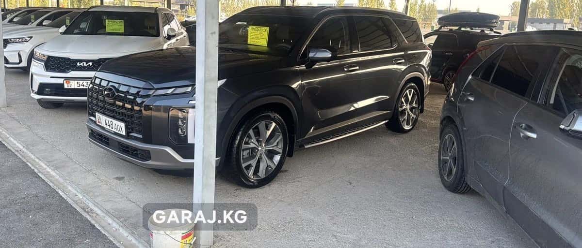 Hyundai Palisade 2021, Ош