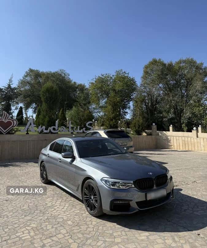 BMW 5 Series 2020, Араван