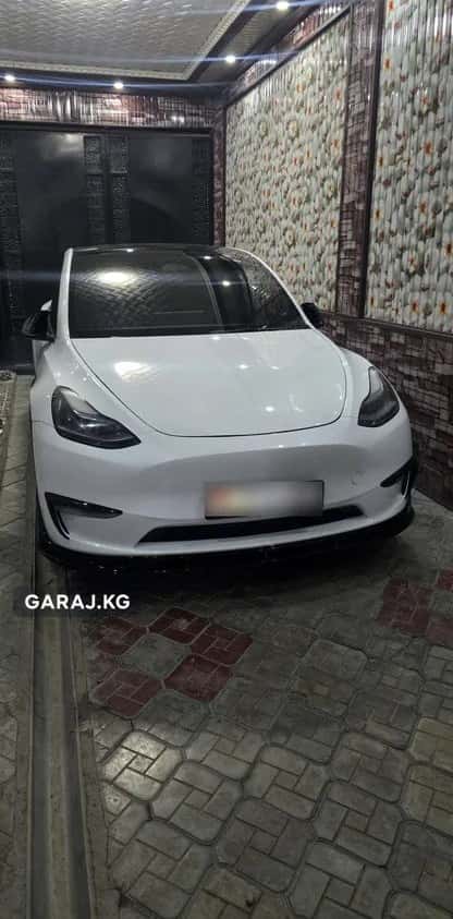 Tesla Model Y 2023, Ош