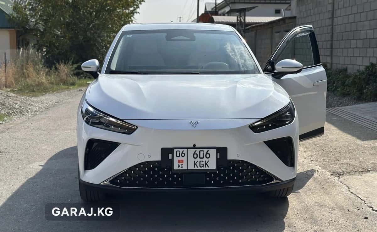 Neta L 2024, Ош