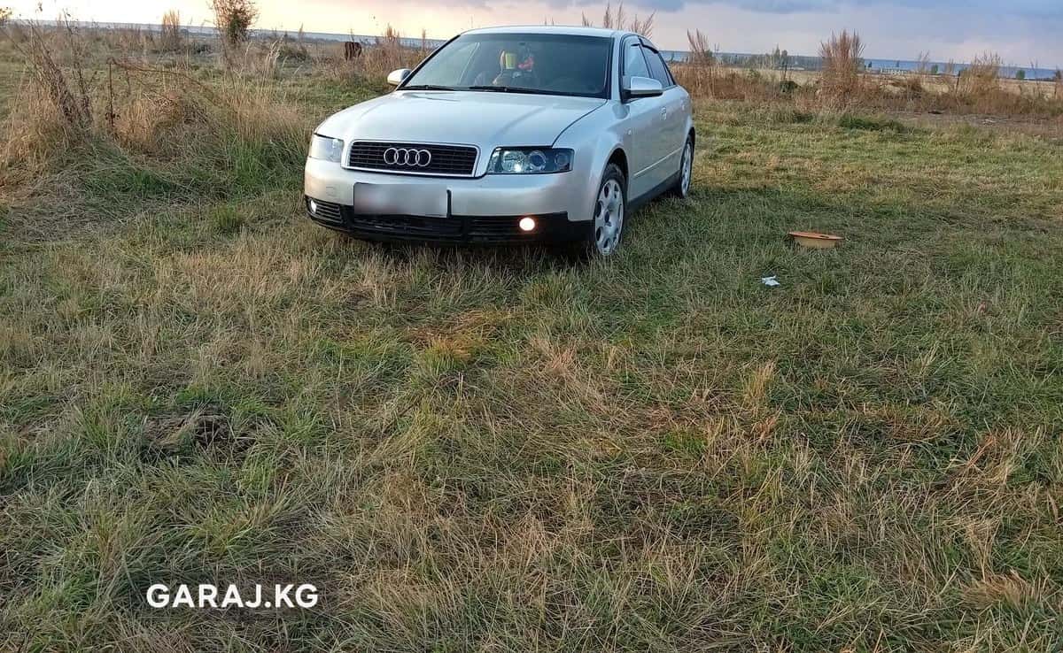 Audi A4 2002, Чолпон-Ата