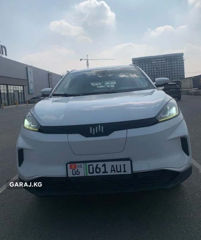 Weltmeister EX5 2021, Ош