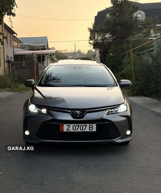 Toyota Corolla 2020, Ош