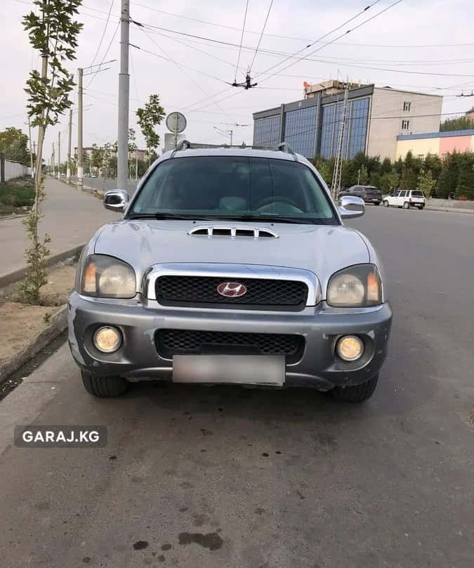 Hyundai Santa Fe 2002, Ош