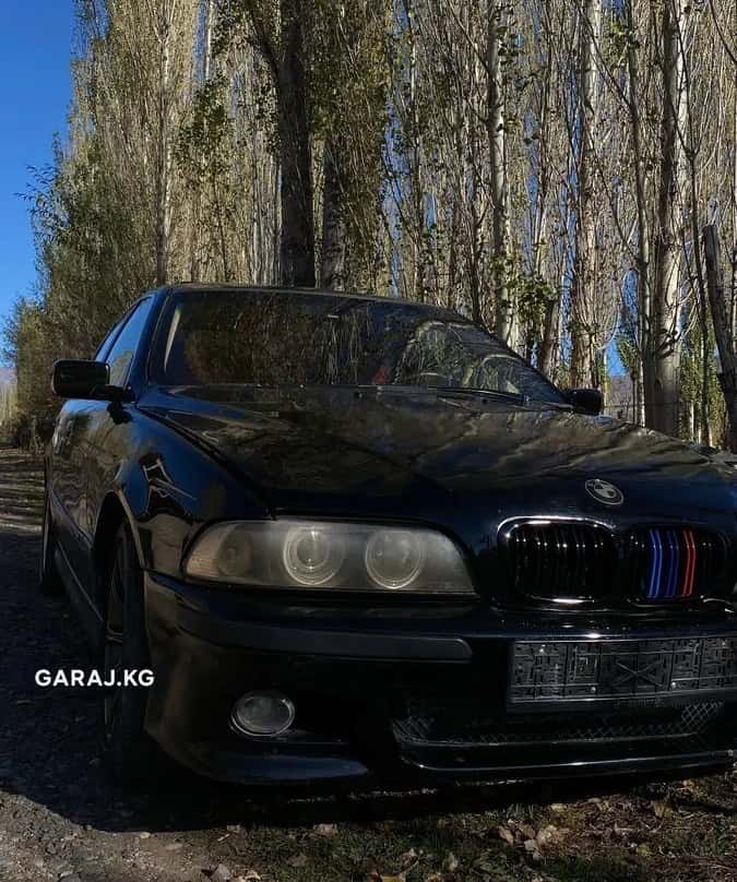 BMW 5 Series 2000, Талас