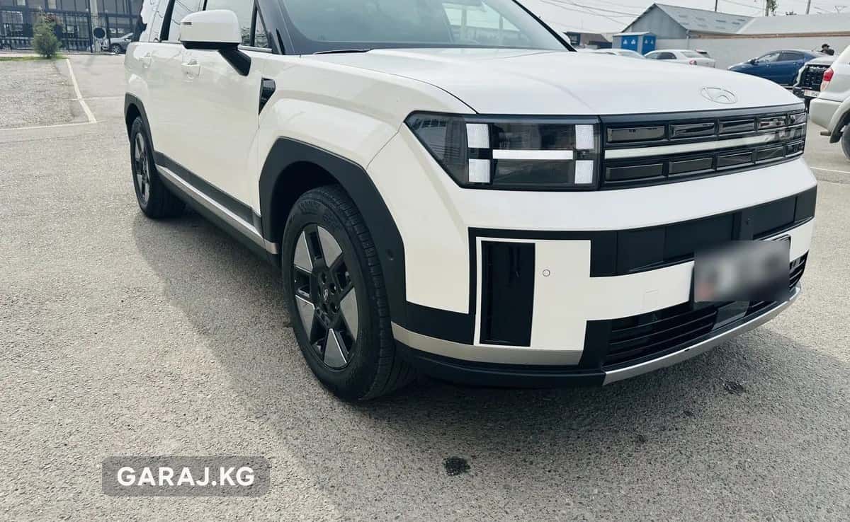 Hyundai Santa Fe 2025, Ош
